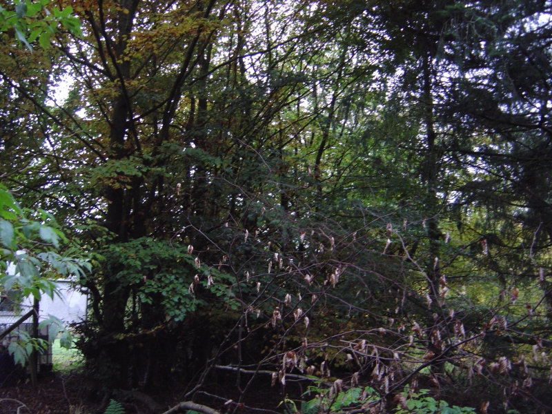27th October 2007 009